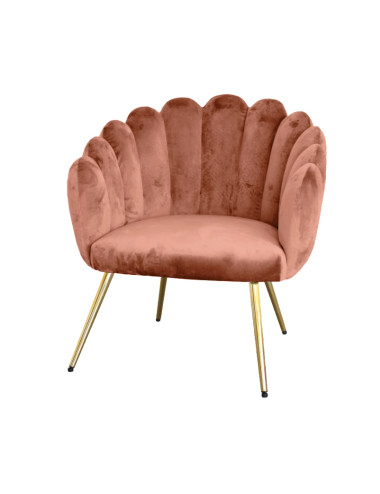 VELVET PINK SHELL ARMCHAIR WITH GOLD METAL LEGS | Brandani