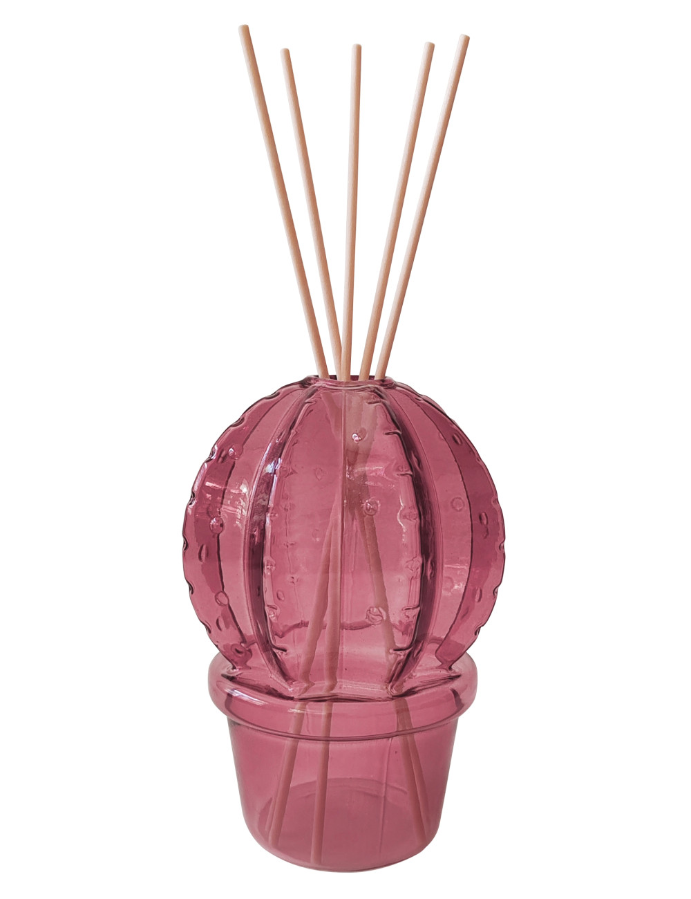 CACTUS PURPLE GLASS FRAGRANCE DIFFUSER W/FIBER WOOD STICKS | Brandani