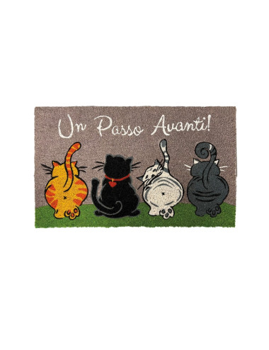ZERBINO UN PASSO AVANTI COCCO | Brandani