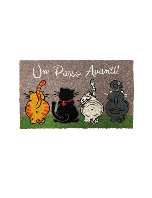 ZERBINO UN PASSO AVANTI COCCO | Brandani
