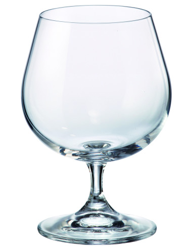 BICCHIERE COGNAC SET 2 PZ VETRO | Brandani