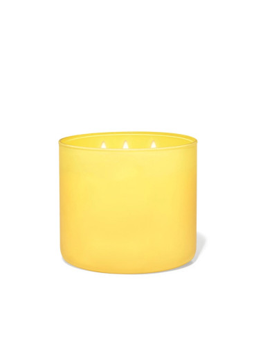 CANDELA PROFUMATA 3 STOPPINI GIALLO CERA DI SOIA ESSENZA LI | Brandani