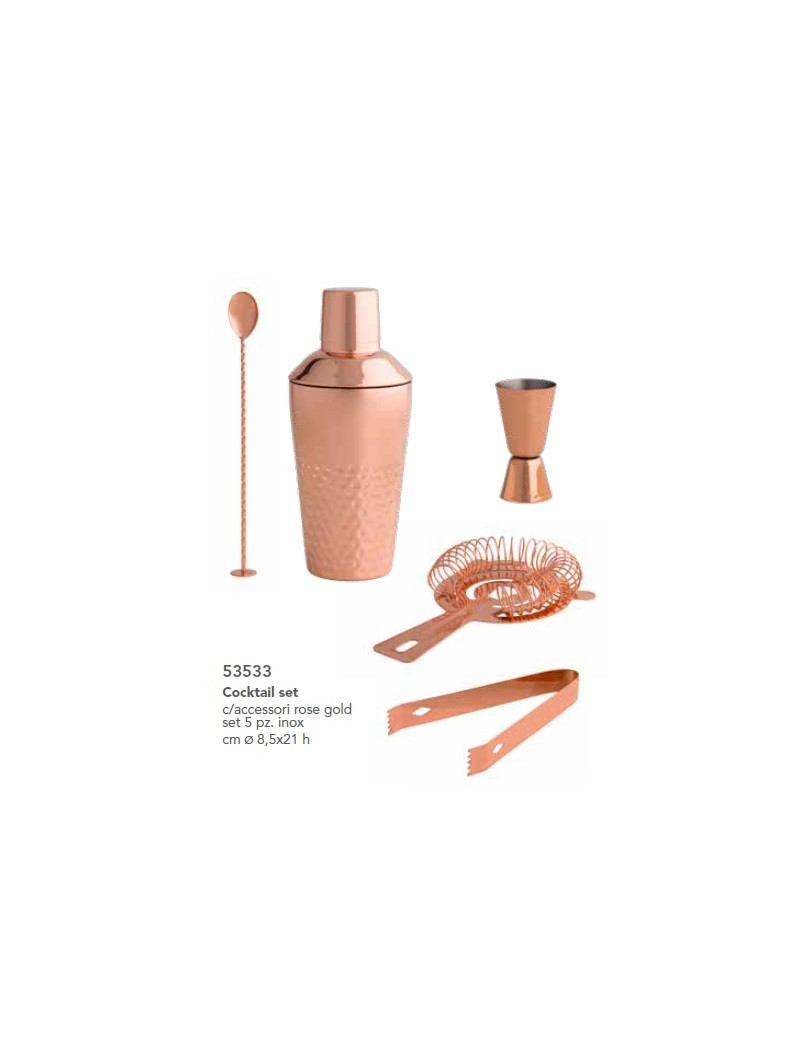 ROSE GOLD STAINLESS STEEL COCKTAIL SET WACCESSORIES 5 PC SE