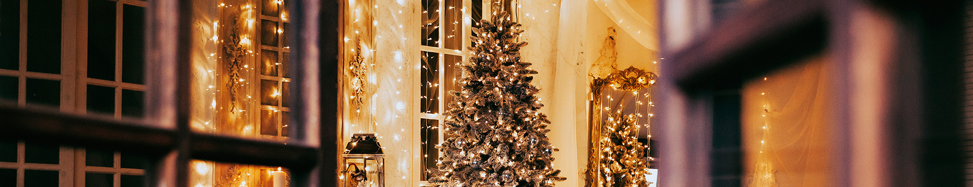 Christmas trees plus led lights